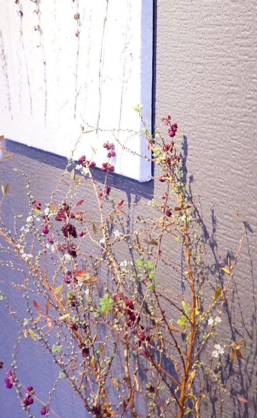 年末年始のレッスンについて_b0151911_23394548.jpg