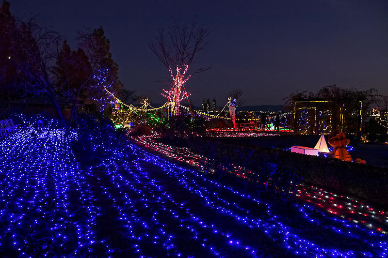クリスマスイルミネーション@びわ湖大津館 2019イルミネーション「光のおもちゃの世界」_f0032011_17390801.jpg