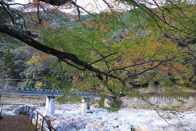 古座川 滝の拝散策(撮影:12月3日)_e0321325_09434465.jpg