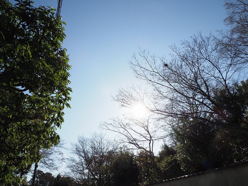 大本山_e0374932_07033719.jpg