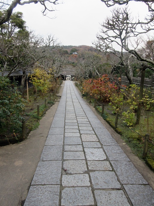 【北鎌倉東慶寺の名残の紅葉】_b0009849_17450384.jpg