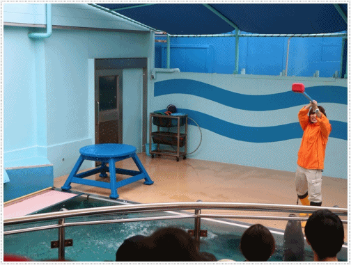 愛知県でのお出かけ その1 小さな小さな、でも魅力的な竹島水族館(11月24日)_b0175688_00171782.gif