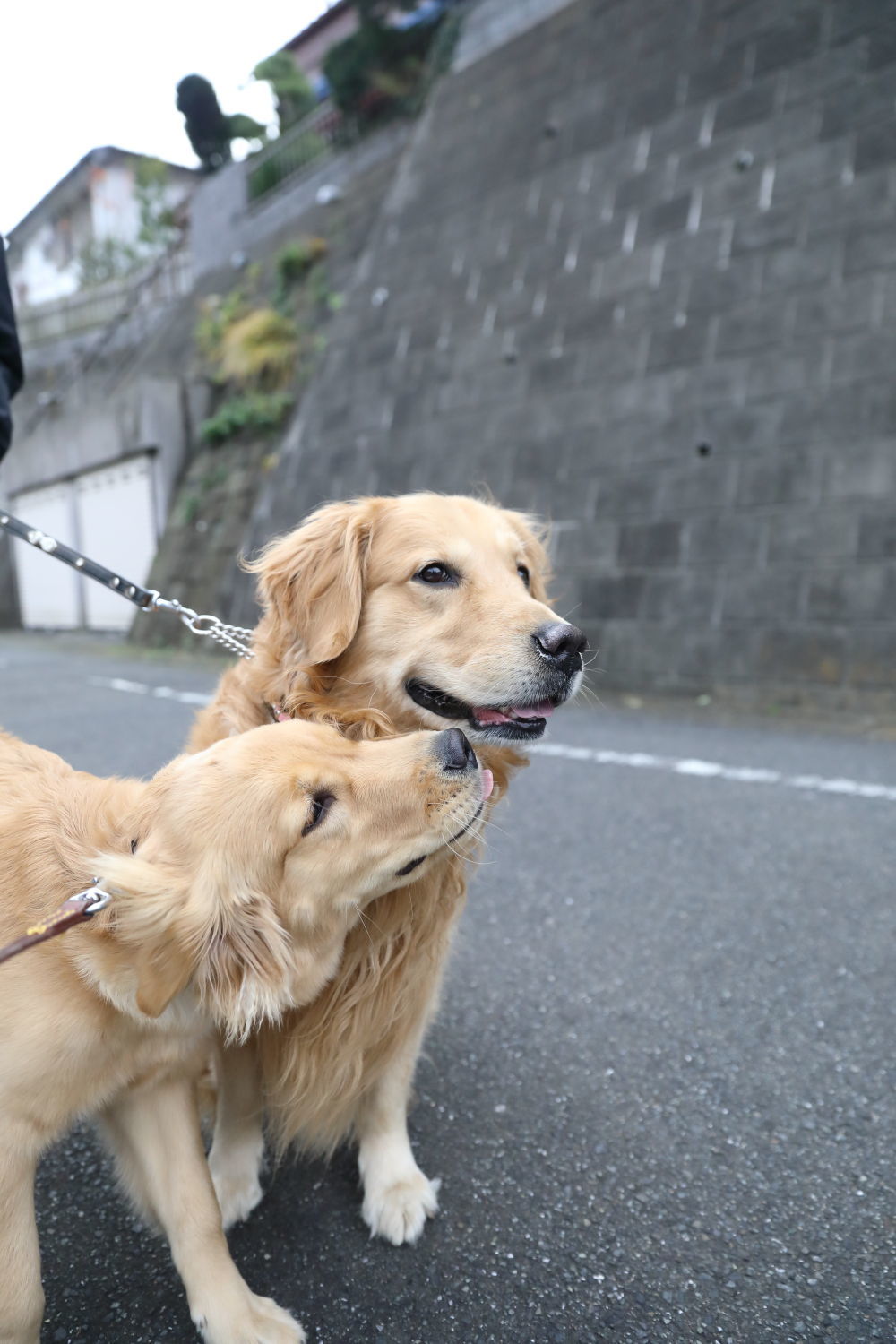 沢山のお友達♪_b0275998_18265466.jpg