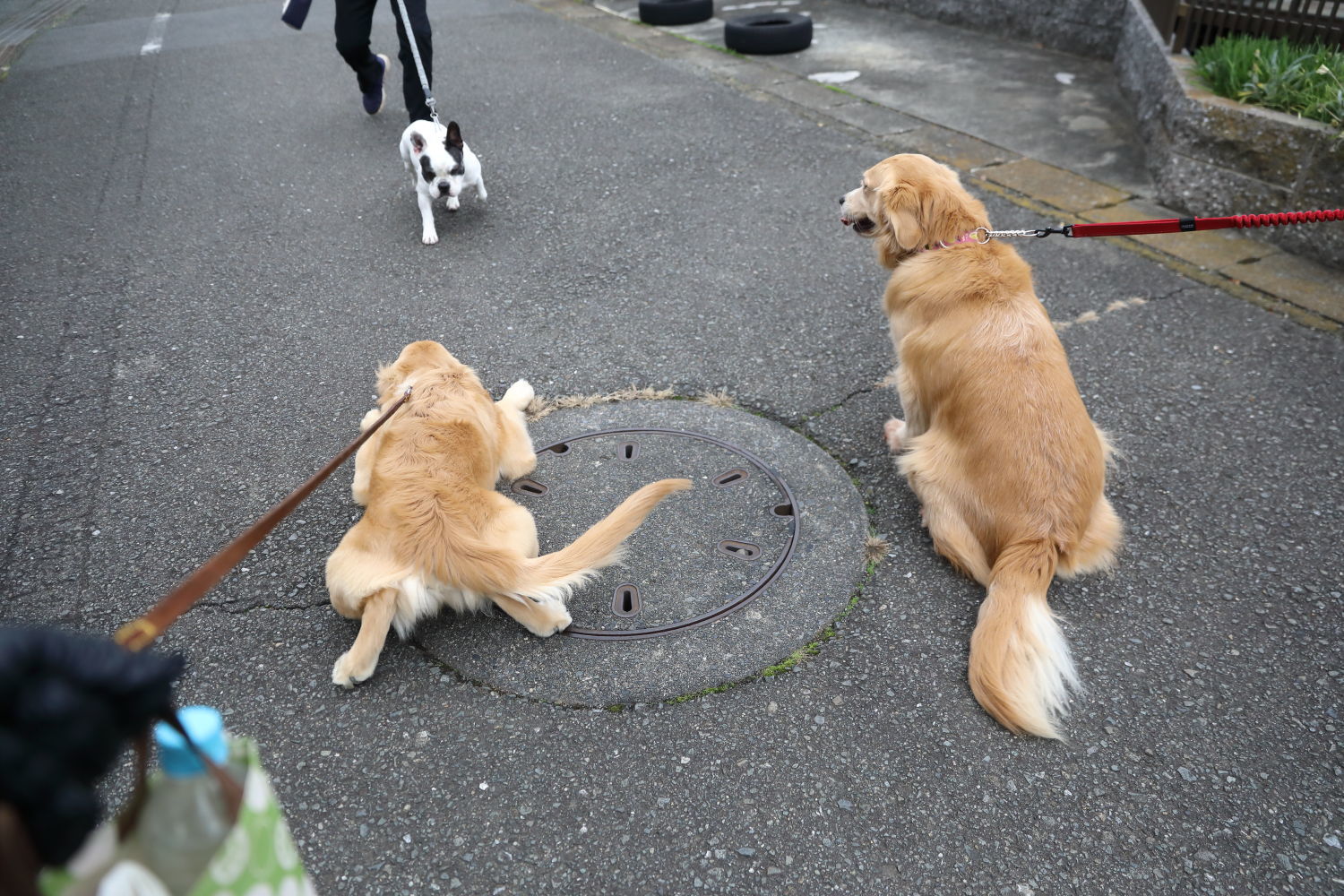 沢山のお友達♪_b0275998_18265916.jpg
