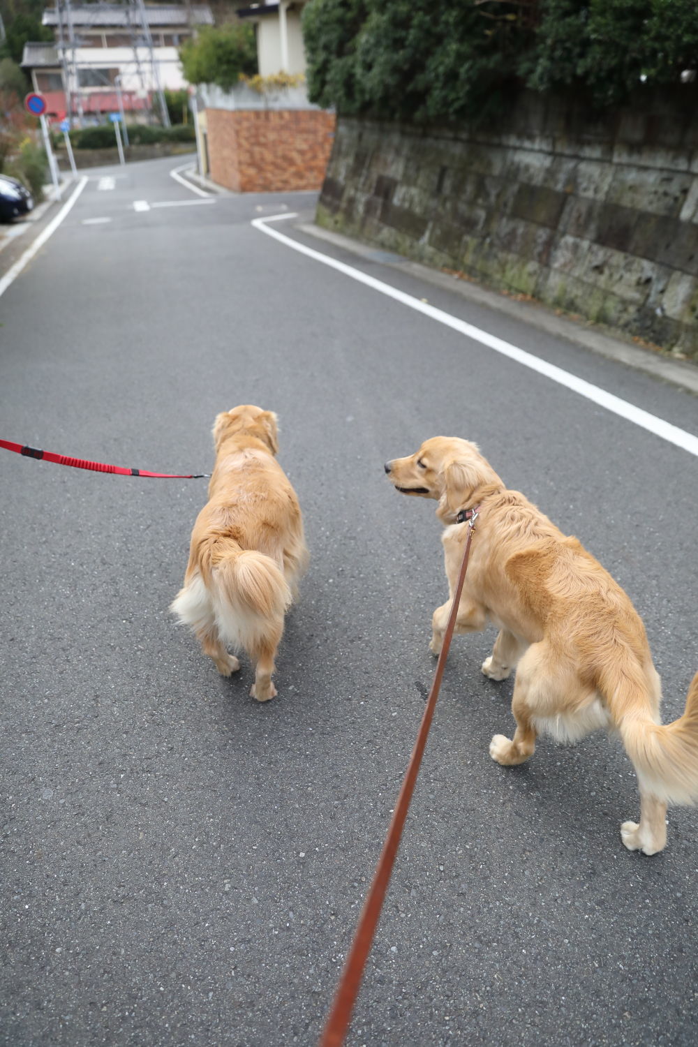 沢山のお友達♪_b0275998_18272162.jpg
