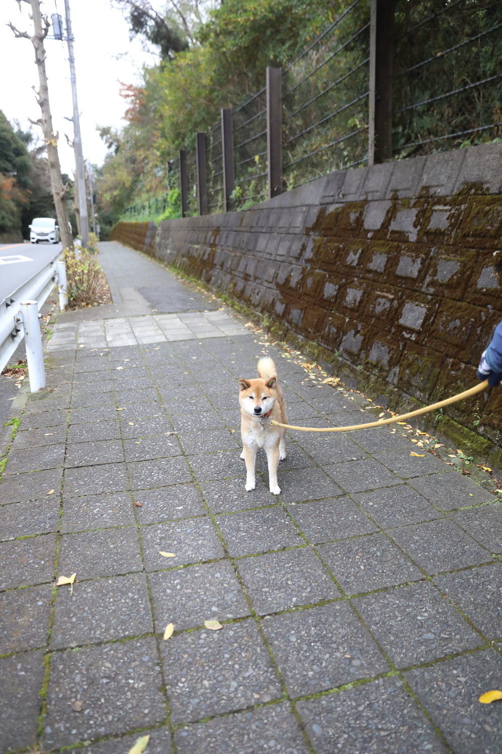 沢山のお友達♪_b0275998_18273003.jpg