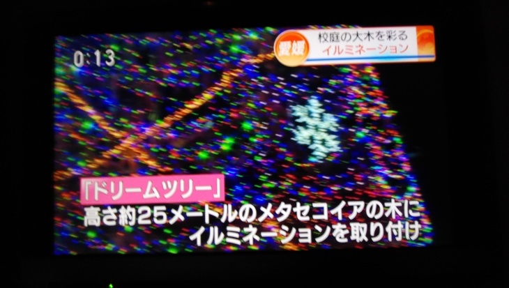 新居浜市の金栄小、校庭の「ドリームツリー」のイルミネーション…2019/12/22_f0231709_21581284.jpg