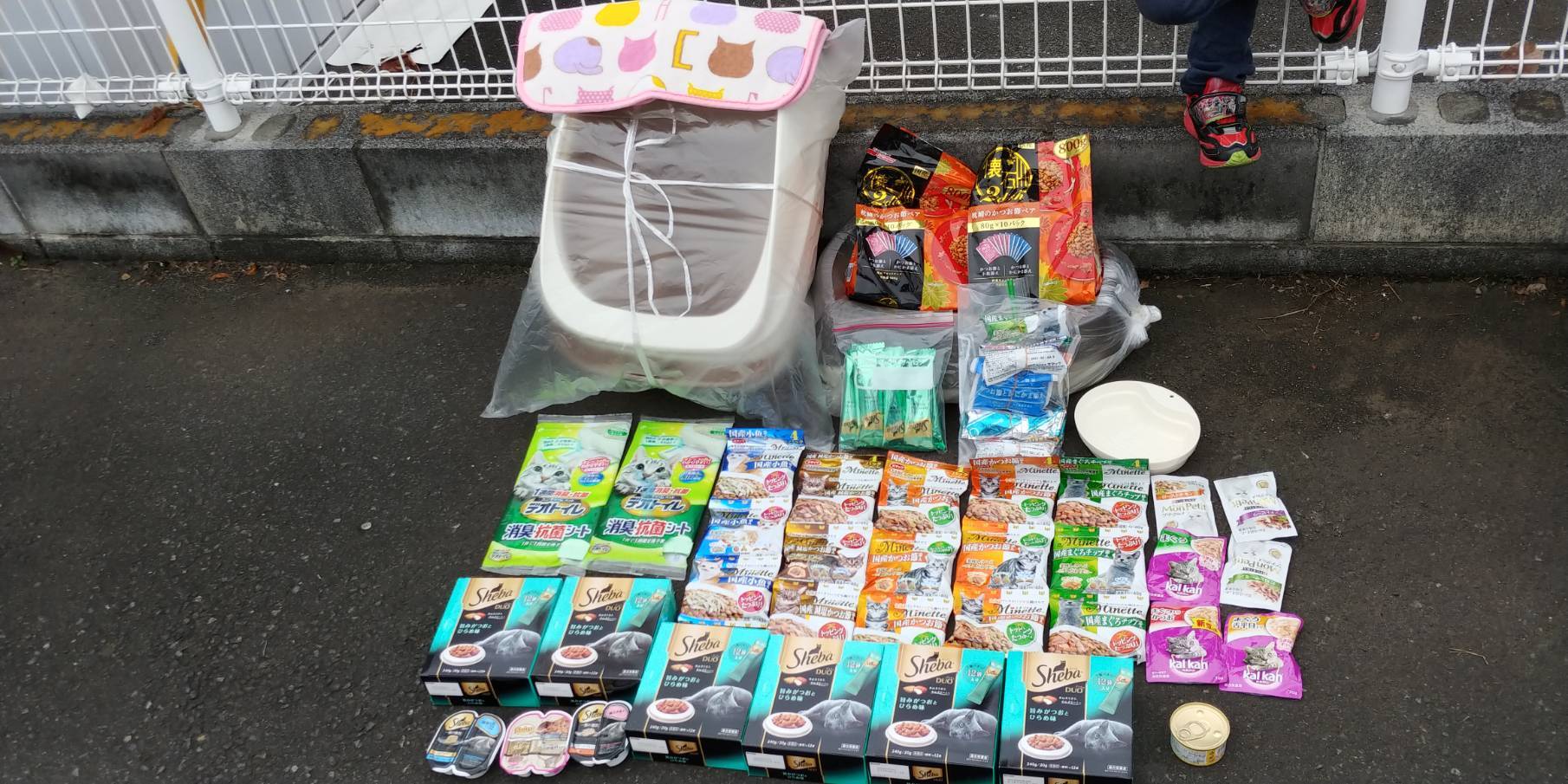 昨日は里親会でござりました♡_d0233224_11532635.jpg
