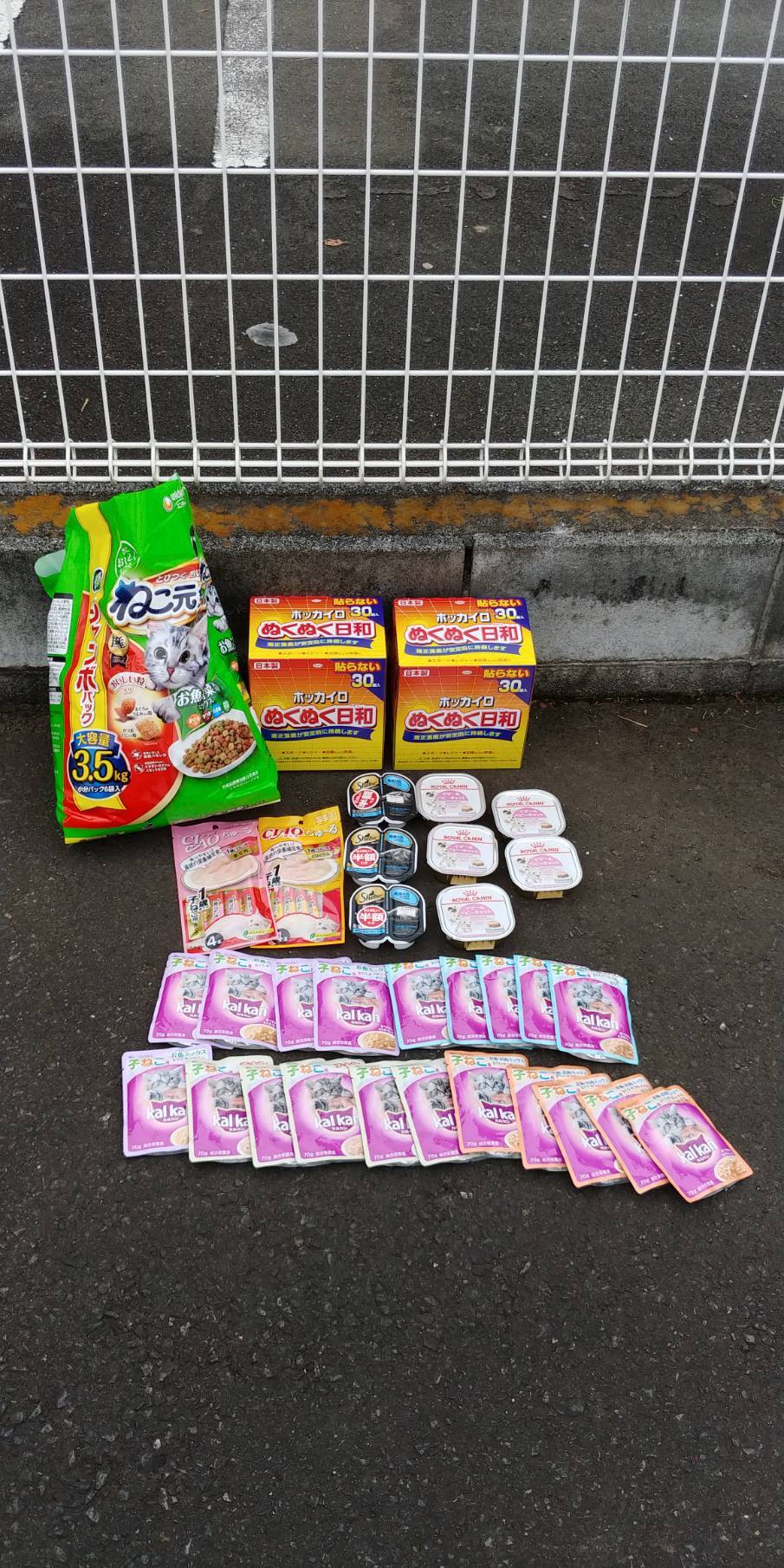 昨日は里親会でござりました♡_d0233224_11532693.jpg