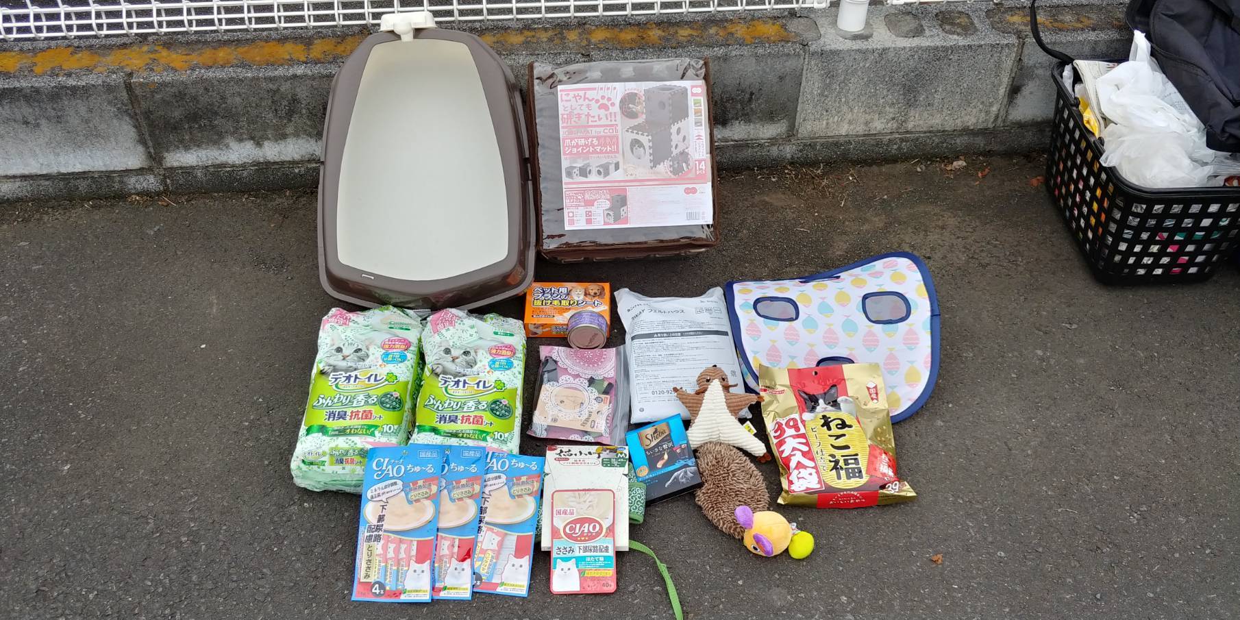 昨日は里親会でござりました♡_d0233224_11532741.jpg