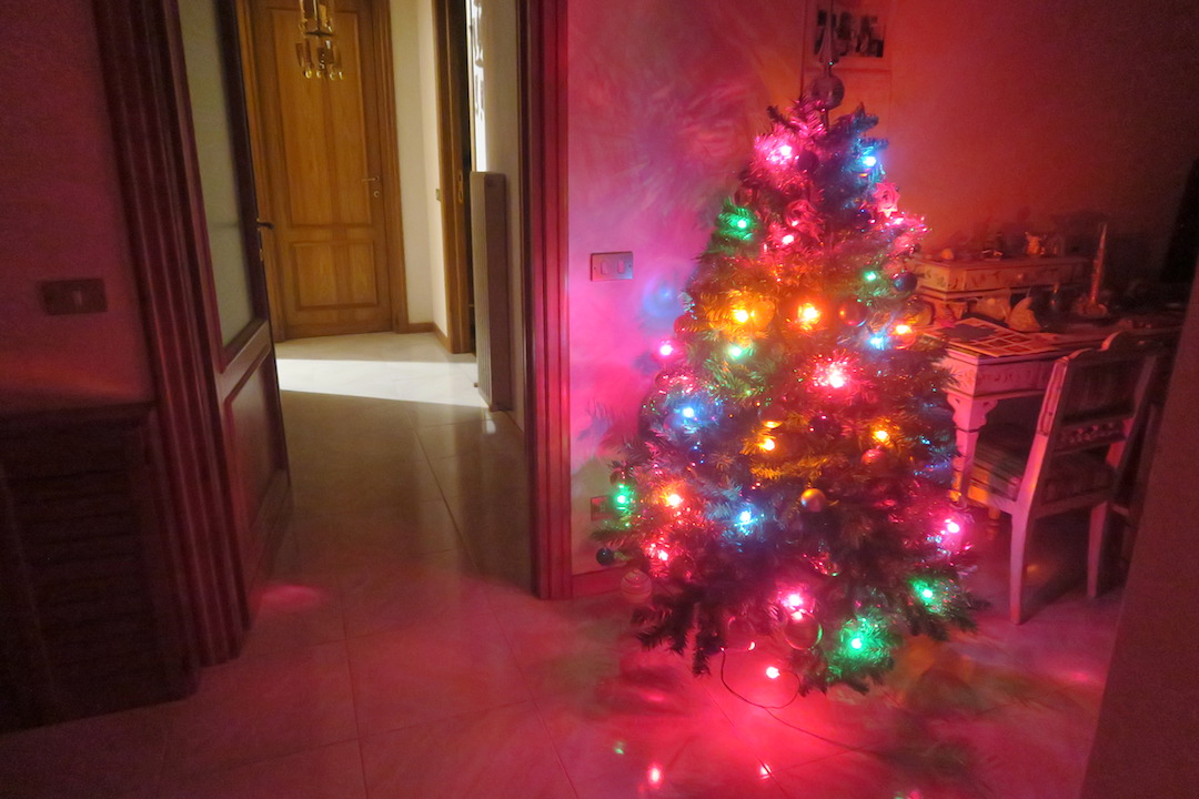 クリスマスツリーと猫と夕焼けの町_f0234936_7153135.jpg