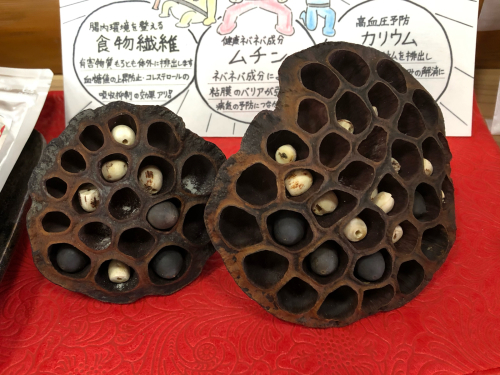 寺Cafe 蓮心庵_e0292546_22101902.jpg