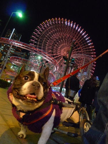 可愛い空の・メコパン コーデ♪_b0307951_23371069.jpg