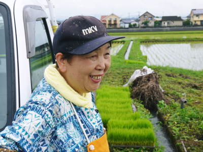 令和4年を熊本の安全で美味しいお米で迎えませんか!紹介3:惜しまぬ手間ひまの匠の『七城米 長尾さんのこだわりのお米』_a0254656_16242596.jpg