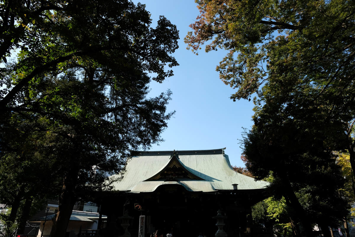 営みは静かに続く_c0084666_09425453.jpg