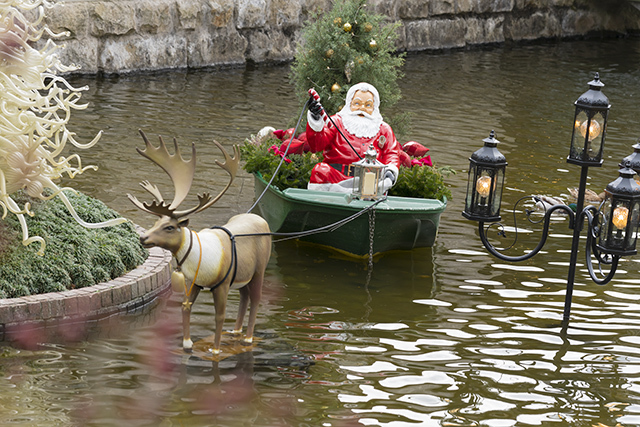 箱根ガラスの森美術館のクリスタルガラスのクリスマスツリー 昼編_b0145398_22272359.jpg