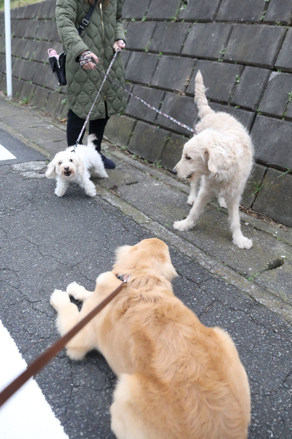 冬至_b0275998_09482866.jpg