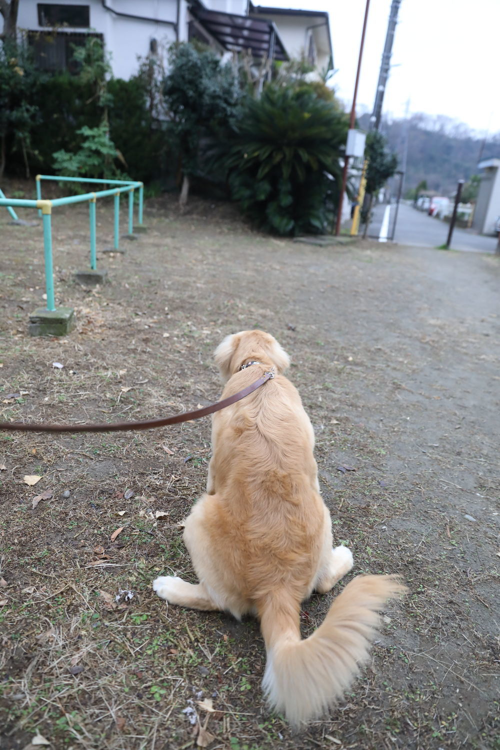 冬至_b0275998_09483284.jpg