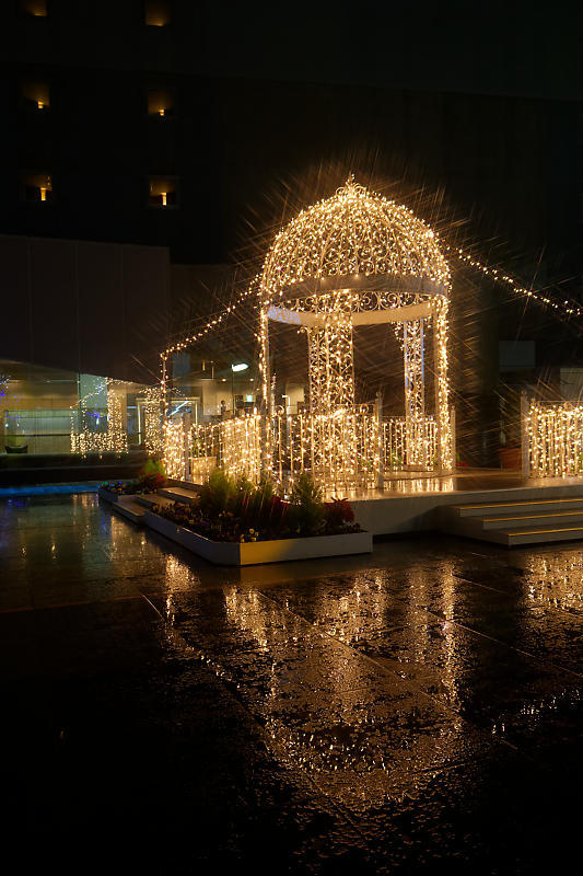 クリスマスイルミネーション@京都駅ビル_f0032011_19495161.jpg