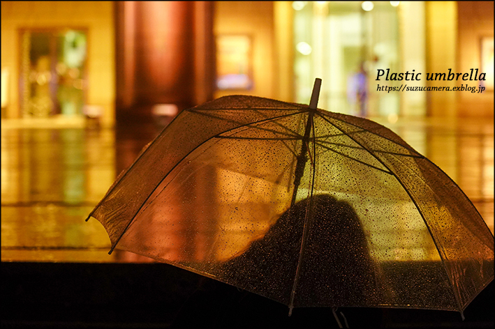 ビニール傘の魅力_f0100215_21380226.jpg