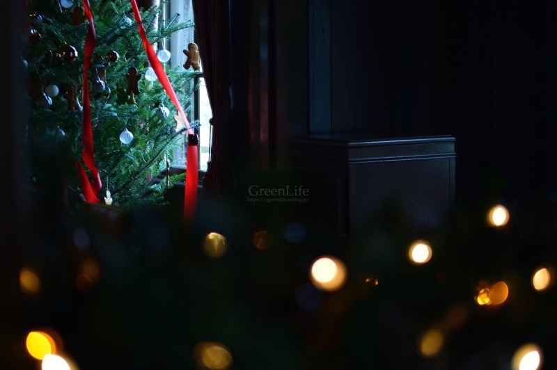 西洋館のクリスマス(外交官の家)_f0321522_20291287.jpg