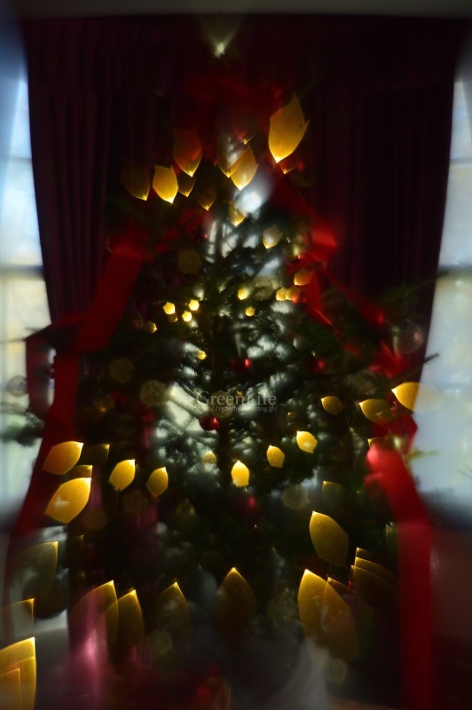 西洋館のクリスマス(外交官の家)_f0321522_20382801.jpg