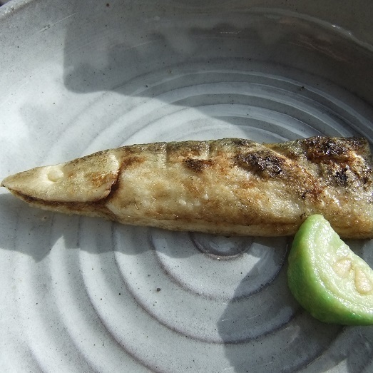 ブログテーマ「秋の味覚!食欲の秋を楽しもう!」_f0357923_13173451.jpg