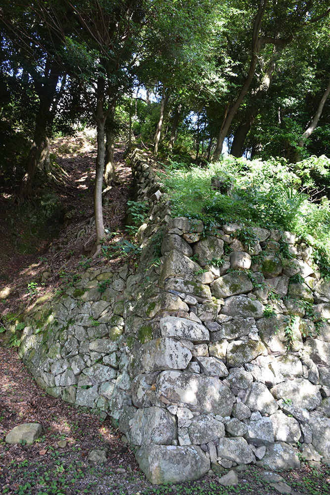 国宝・彦根城を歩く。 その7 <大手門~山崎曲輪>_e0158128_21052201.jpg