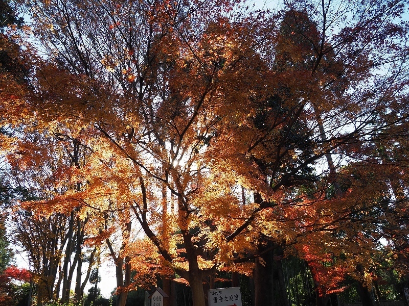 京都五山で何思う!?_e0374932_07155665.jpg