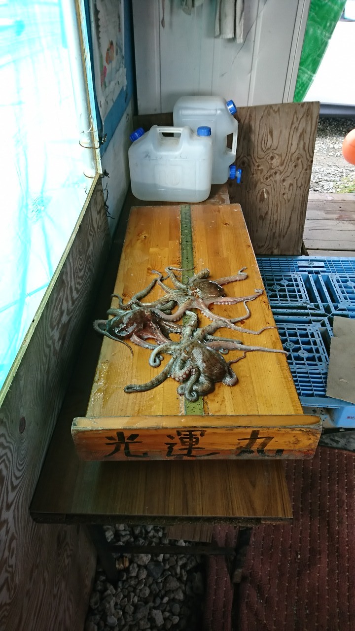 Fw:チーム銀鱗へ_b0128238_13291865.jpg