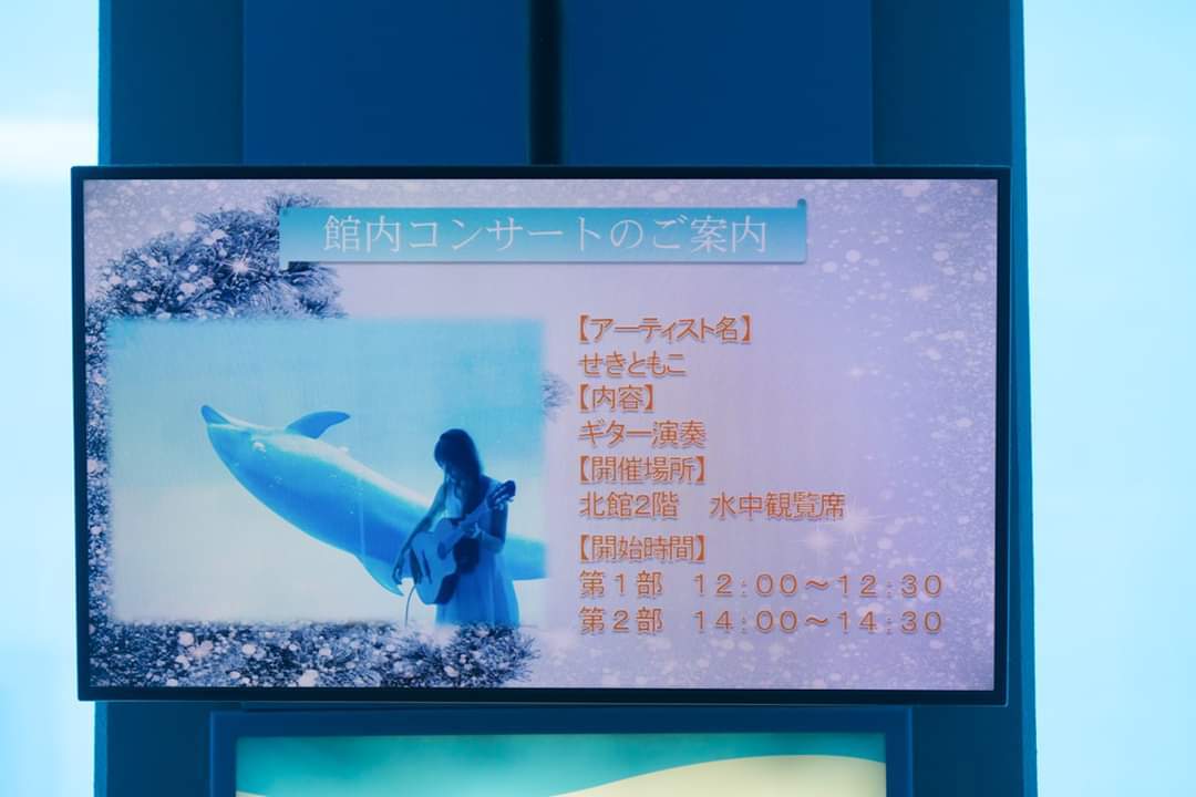 名古屋港水族館クリスマスアクアリウムコンサート2019_f0373339_10331788.jpg