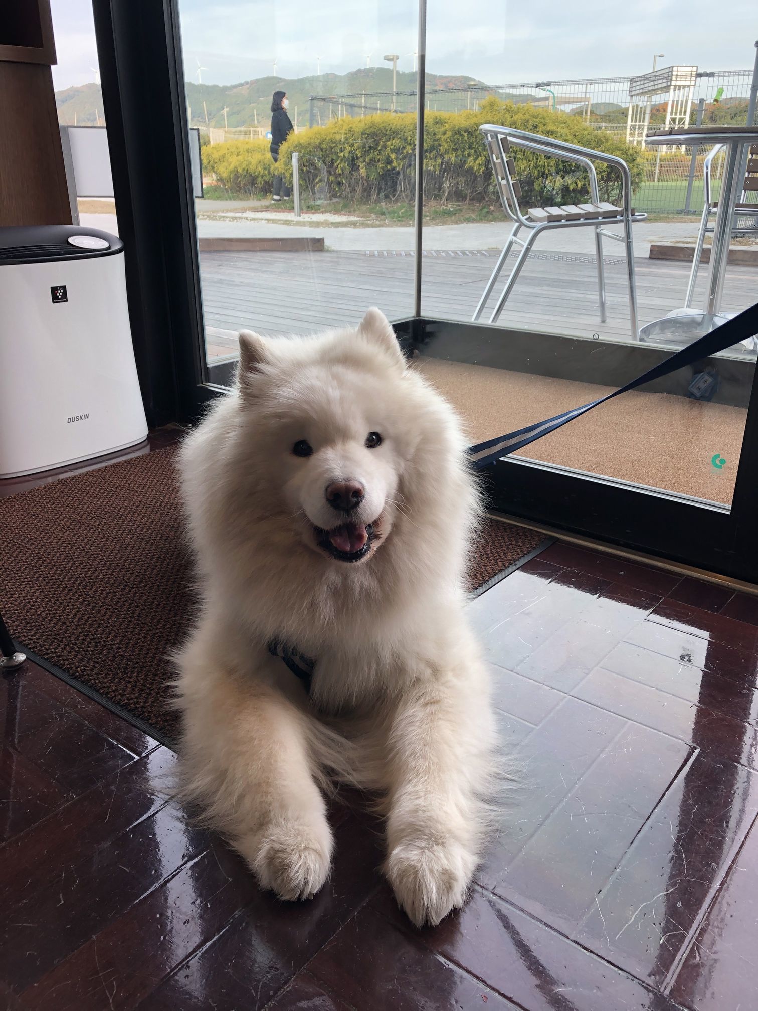 2019年12月 合同お誕生会オフ in Ven! Kitchen&Dog Garden その1_f0128542_01240656.jpg