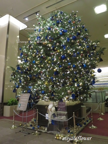 帝国ホテルのクリスマスツリー 19 風と花を紡いで