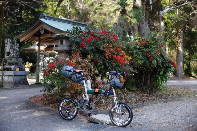 2019モールトンとキャンプ --三河高原-- _b0078651_01193227.jpg