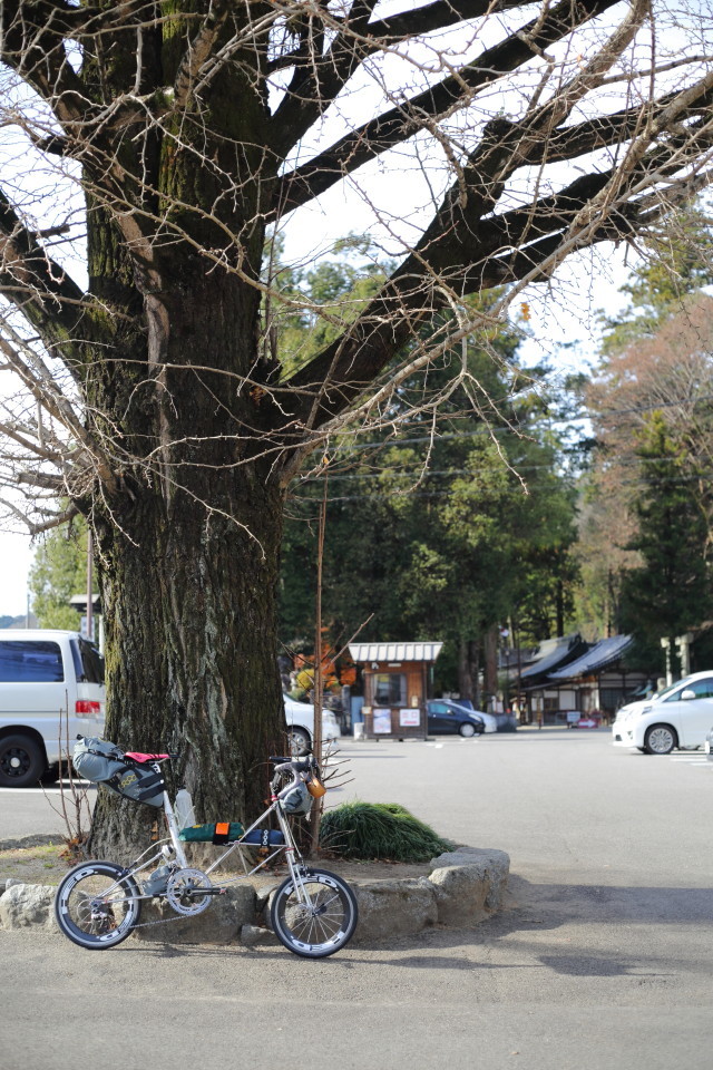 2019モールトンとキャンプ --三河高原-- _b0078651_01193274.jpg