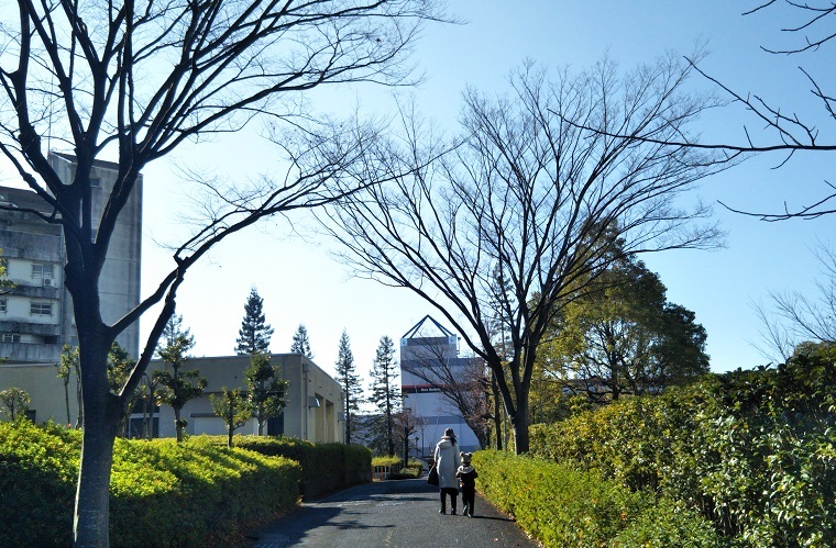 ビデオレター_f0202151_19092051.jpg