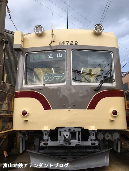 ありがとう、そしてさようなら、地鉄最後の日車ロマンスカー_a0243562_11504573.jpg