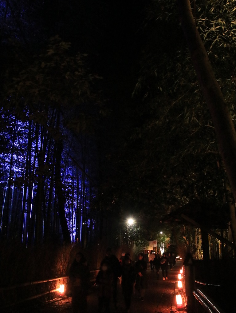2019年 花灯路 嵐山_d0202264_1921412.jpg