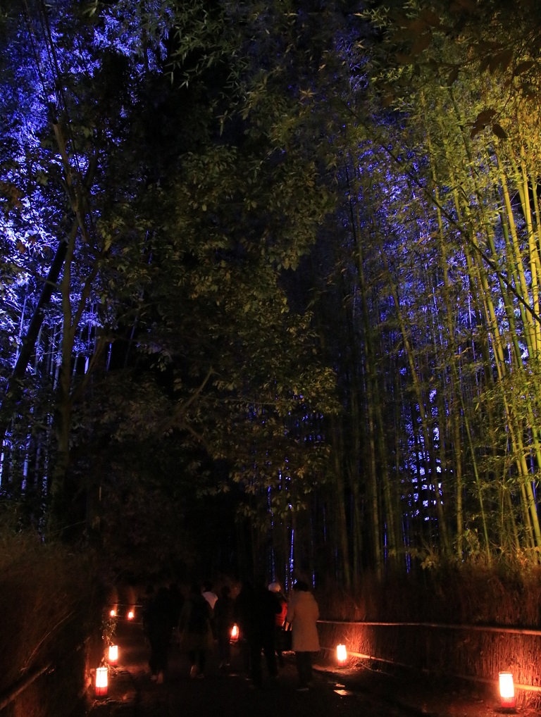 2019年 花灯路 嵐山_d0202264_1924518.jpg