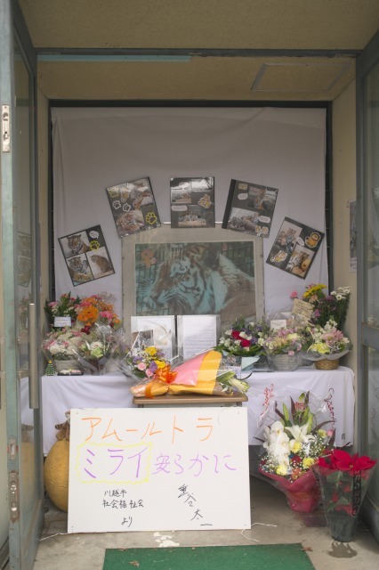 未来を遺したミライさん_a0188771_21392586.jpg