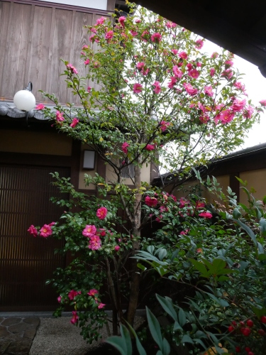 GG観光&お買い物ツァー_f0054677_07490618.jpeg
