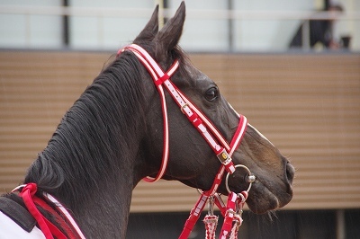 豪華メンバーの有馬記念はリスグラシューが5馬身差の圧勝 豪華メンバーの有馬記念はリスグラシューが5馬身差の圧勝