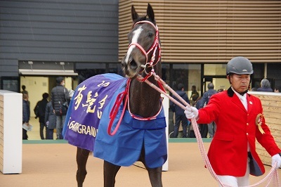 豪華メンバーの有馬記念はリスグラシューが5馬身差の圧勝