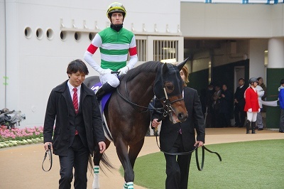 Amazon.co.jp: 競馬 JRA リスグラシュー 有馬記念 優勝 T
