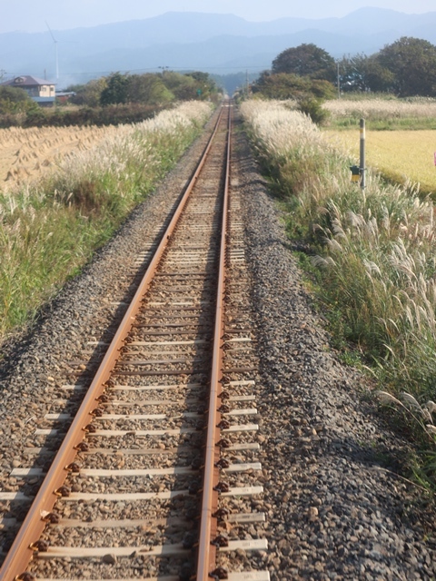 渡辺水産の若き期待の星に会う、ここは青森県むつ市です下北半島の旅をご紹介、神秘的な自然の中に恐山という霊場あり_d0181492_23372722.jpg