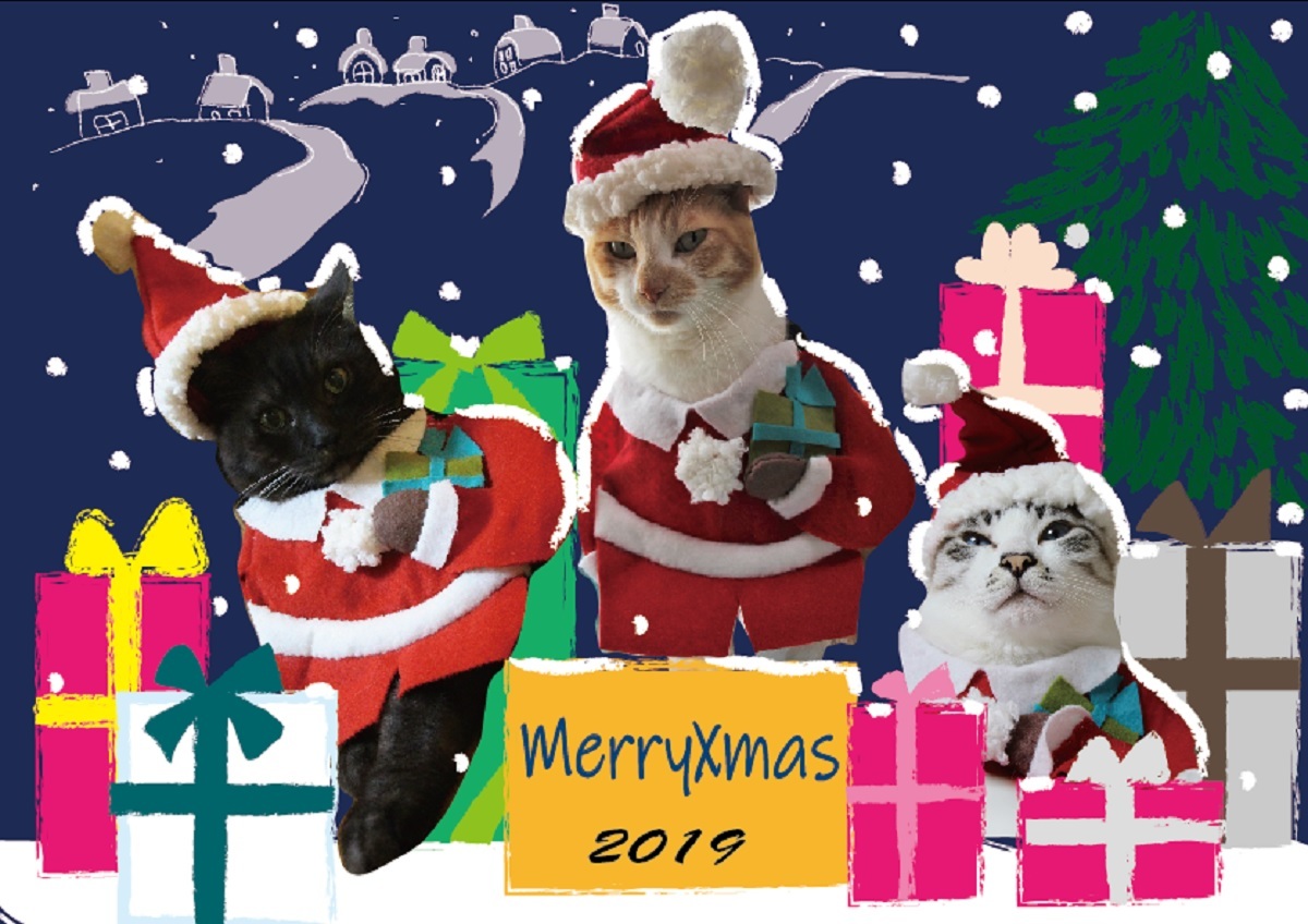 クリスマスカード_a0333195_22255907.jpg