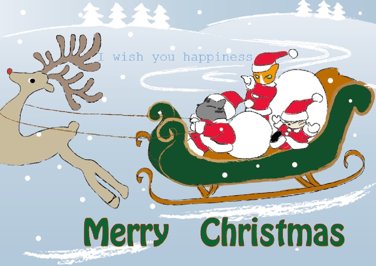 クリスマスカード_a0333195_22262536.jpg