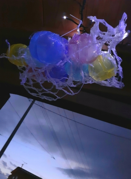 僕の頭上100kmに棲む生物_a0199297_23561601.jpg
