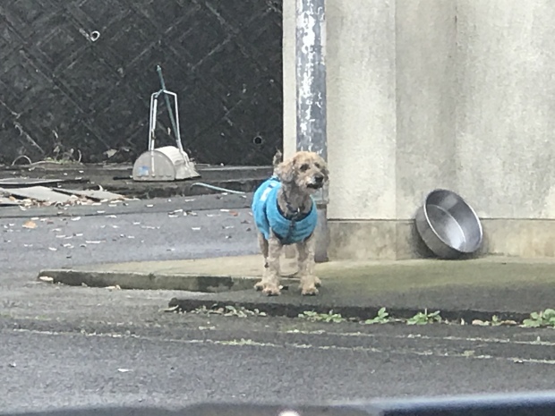 新しい年は温かいお家で迎えたい・・_f0242002_14480666.jpeg