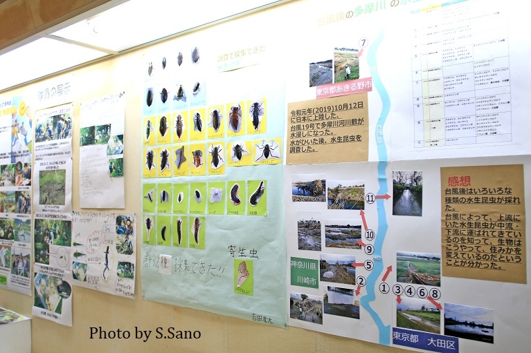 ジュニア生物調査隊~企画展示(2019)~_b0348205_17503694.jpg